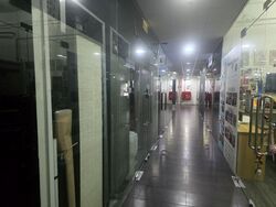 The Commerze@irving (D13), Shop House #438246241